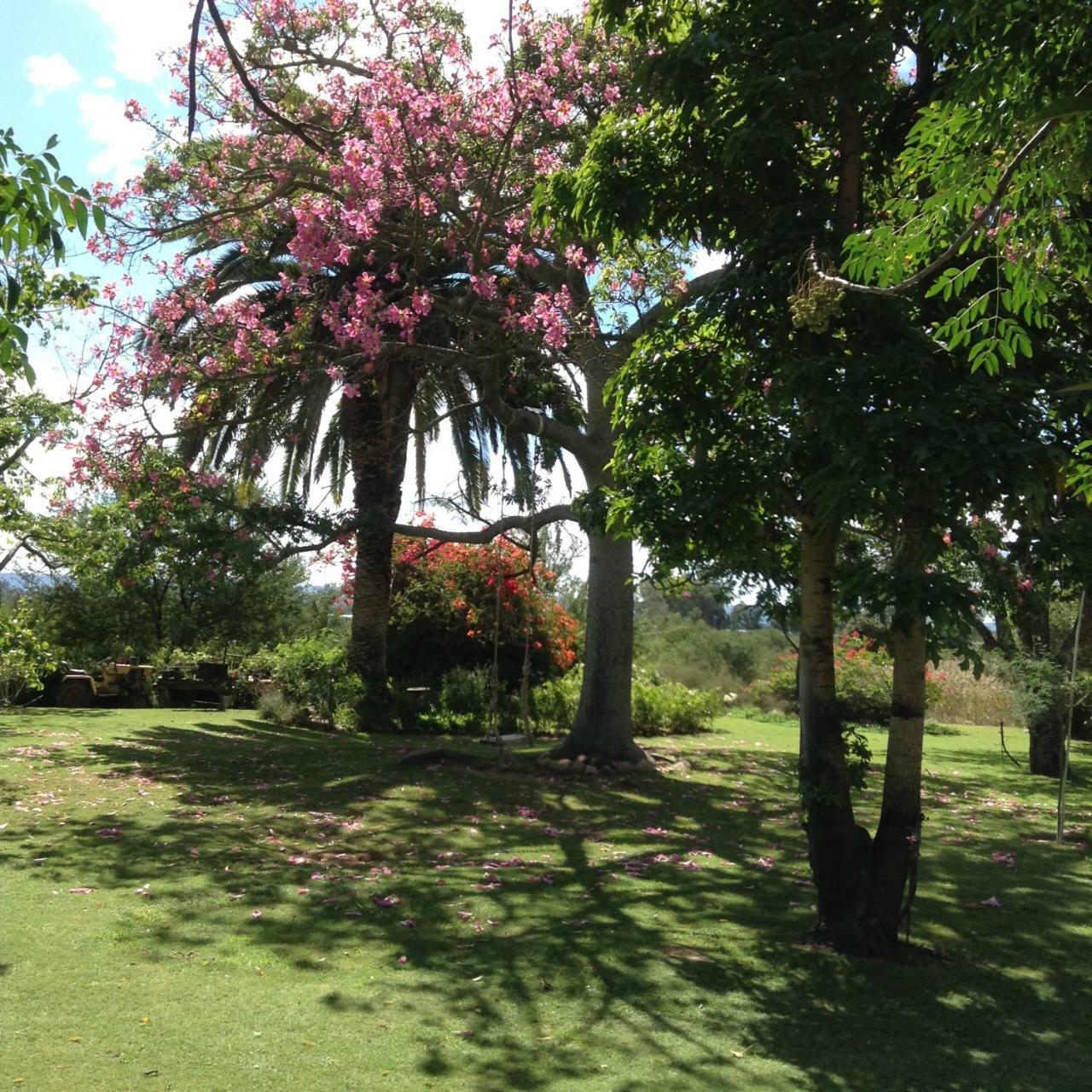 Gerald'S Gift Guest House Addo Luaran gambar